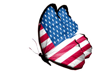 Poster - flying butterfly with united states flag