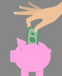 © nlszekely - Woman's hand putting money bill in pink piggy bank. Savings concept