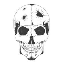 Vector Illustration Of A Skull Sketch With Holes Of Different Diameters In The Head. T-shirt Design, Poster, Ticket And Others