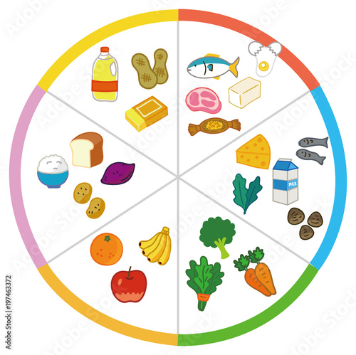 5大栄養素を多く含む食品例のイラスト素材 図 Stock Vector Adobe Stock