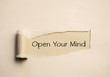 Open Your Mind Paper