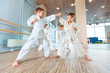 © satyrenko - young, beautiful, successful multi ethical kids in karate position