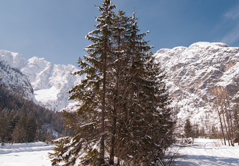 Sticker - Snow on the Dolomites Mountains, Italy