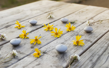 candles and summer flowers