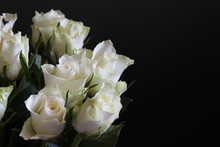 Bouquet Of Withe Roses With Dark Background. Copy Space.