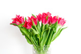 Fototapeta Tulipany - Bouquet of red tulips on white background.