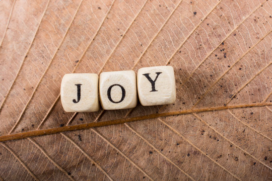 Text Message wording of the word JOY
