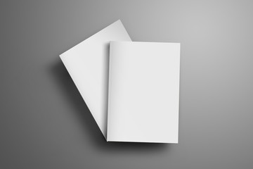 Poster - Two blank closed A4, (A5) magazines with soft realistic shadows isolated on gray background.
