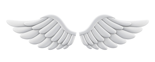 White Angel Wings Isolated