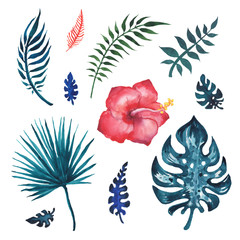 Sticker - Set of palm leaves. Hand painted watercolor illustration