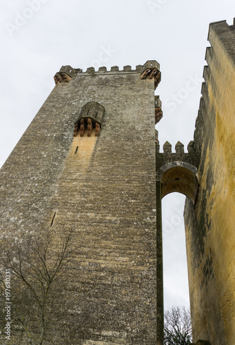 Foto castillo de piedra medieval con torres sobre colina verde con arboles