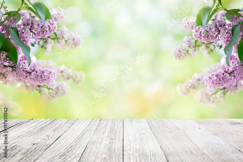Lilac flowers garden blur background
