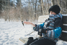 Boy With Birds Perching On His Hand While Sitting On Bench During Winter