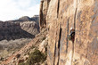 © Cavan Images - Female climber climbing on rock