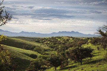 Cloudy monsoon sky over Sonoita, Arizona ranch land