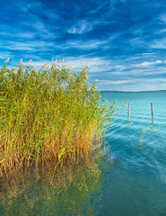 Wall Mural - Lake Balaton in summer