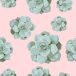 Seamless design pattern arranged from echeveria succulen. Beautiful floral print. Pink backdrop. Floral texture for design, textile and background.