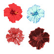 Collection of hibiscus flowers on a white background. Exotic tropical spring summer botanical design. Vector exotic illustrations, floral elements isolated, Hawaiian bouquet for greeting card.