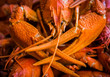 cooked crawfish, a snack for beer, a large crayfish, claw of crayfish