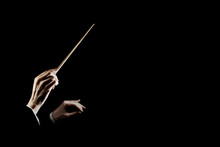 Orchestra Conductor Music Conducting. Hands Of Conductor With Baton