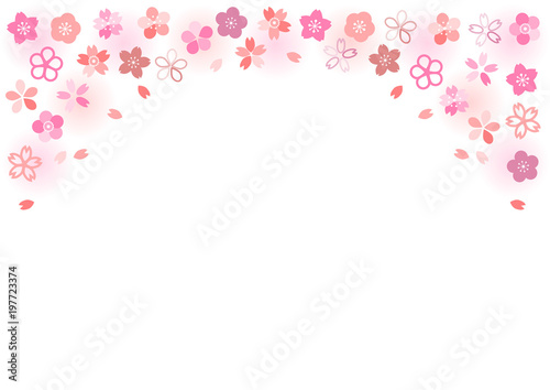 桜 イラスト フレーム 飾り模様 白背景 Adobe Stock でこのストック