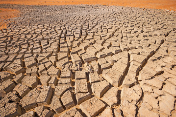 Cracked Mud in a Desert