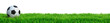 Leinwandbild Motiv Fußball auf Rasen Panorama isoliert weißer Hintergrund 3D Rendering