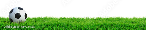 Fotomural Fußball auf Rasen Panorama isoliert weißer Hintergrund 3D Rendering