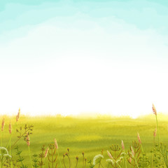 Digital illustration of soft green meadow and blue sky background