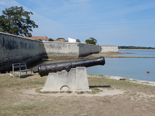 Canvas Print - Ile d'Aix, Charentes-Maritime, France