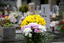 Yellow And White Flowers On The Grave Of A Cemetery