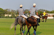 Two horse polo umpires In The Horse Polo filed.