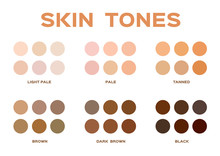Skin Tone Index Color . Infographic Vector