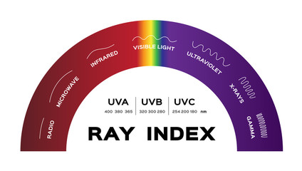 ray index infographic vector . radio microwave infrared visible light ultraviolet x-rays and gamma