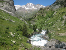 Valle De Ordesa, Pireneje, Hiszpania - Rzeka W Zielonej Dolinie Ordesy