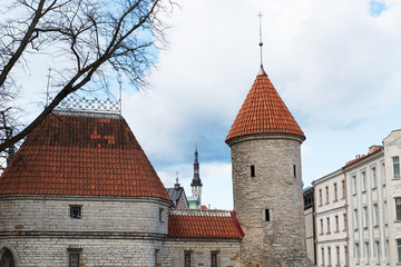 Wall Mural - Fortress Wall and the Old Town Tower , Tallinn, Estonia