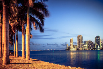 Wall Mural - Miami Florida at night with skyline buildings, bay and palm trees