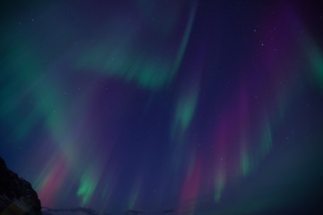 Wall Mural - aurora boreale in islanda