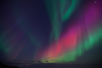 Wall Mural - aurora boreale in islanda