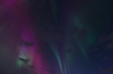 Wall Mural - aurora boreale in islanda