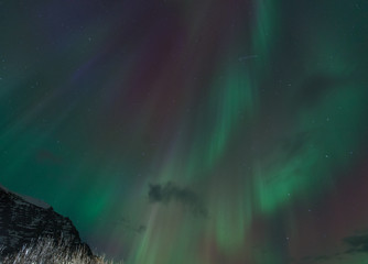 Wall Mural - aurora boreale in islanda