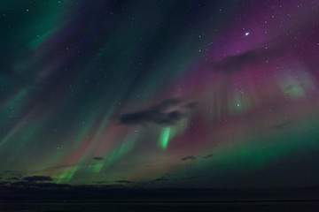 Wall Mural - aurora boreale in islanda