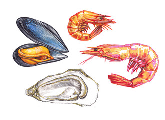 Hand-drawn seafood set on the white background