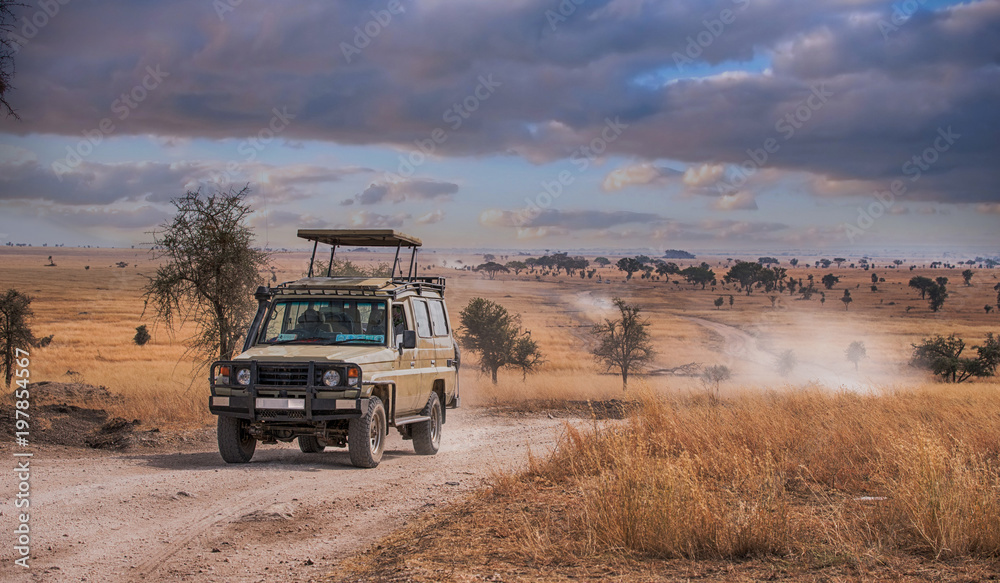 Game drive Safari in Serengeti national park,Tanzania - obrazy, fototapety, plakaty 