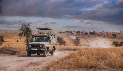 Game drive Safari in Serengeti national park,Tanzania