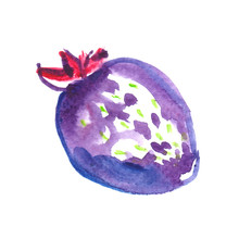 Single Big Unusually Colored Bright Purple Strawberry With Pink Stem Painted In Watercolor On Clean White Background