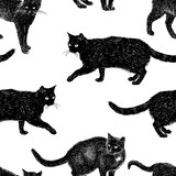 Fototapeta Koty - Pattern of drawn black cats