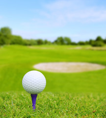 Canvas Print - Golf ball on course