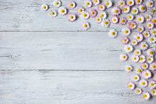 Wooden Light Spring-summer Background With Daisies
