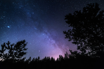 Wall Mural - stars space landscape. milky way galaxy at dark night
